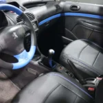 رودری پژو 206 آبی/ مشکی